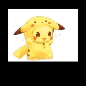 Meet your Posher, Roy